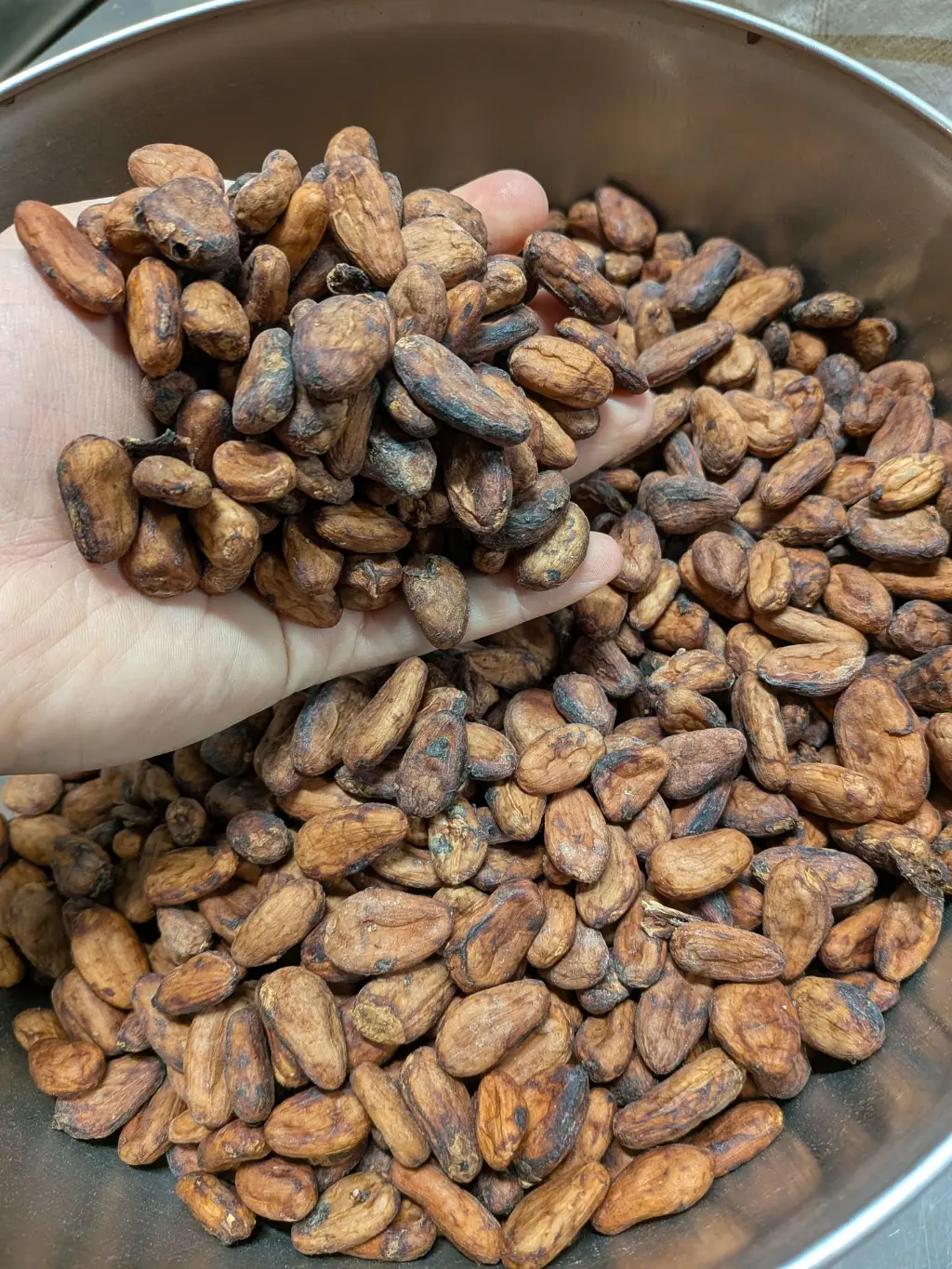 Cacao Costa Rica